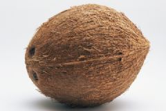 椰子是什么季節的水果？椰子幾月份成熟？[多圖]