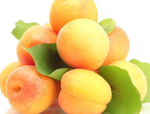 杏子能和西瓜一起吃嗎 過量易出現腹瀉情況