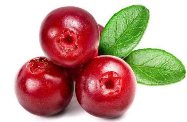 蔓越莓是什么水果？蔓越莓干有什么功效？